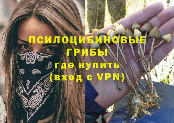 сатива Белоозёрский