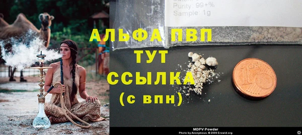 сатива Белоозёрский
