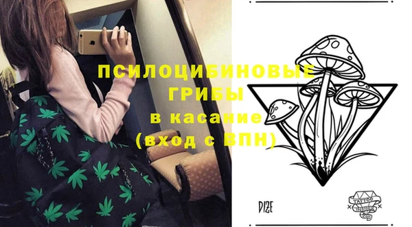 сатива Белоозёрский