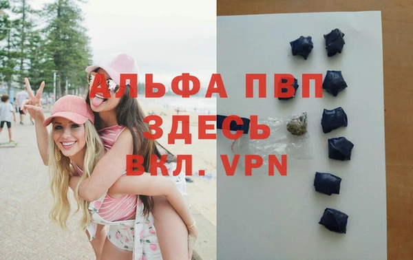 сатива Белоозёрский